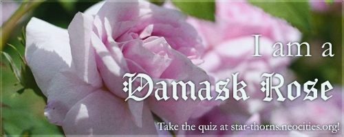 I am a Damask Rose!