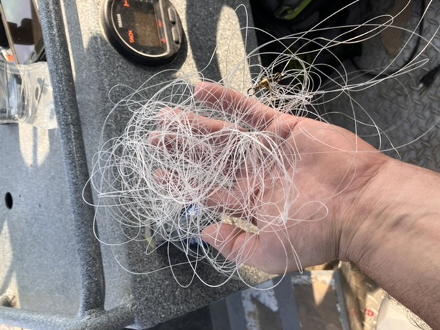 6C29F49F-A583-4E00-9786-7E4A4D9EC2B5