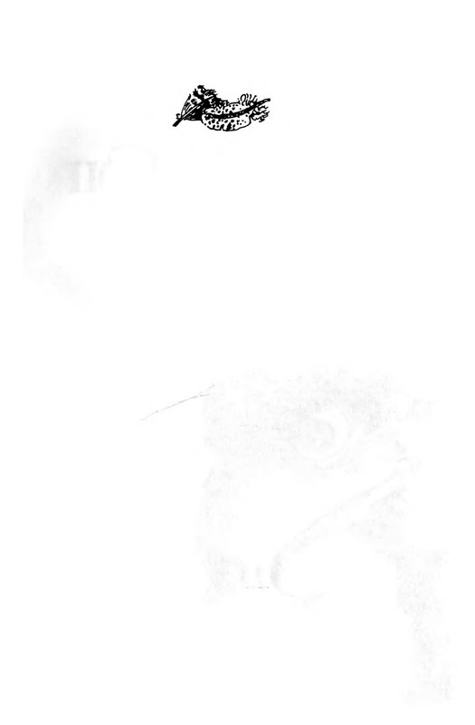 p0002