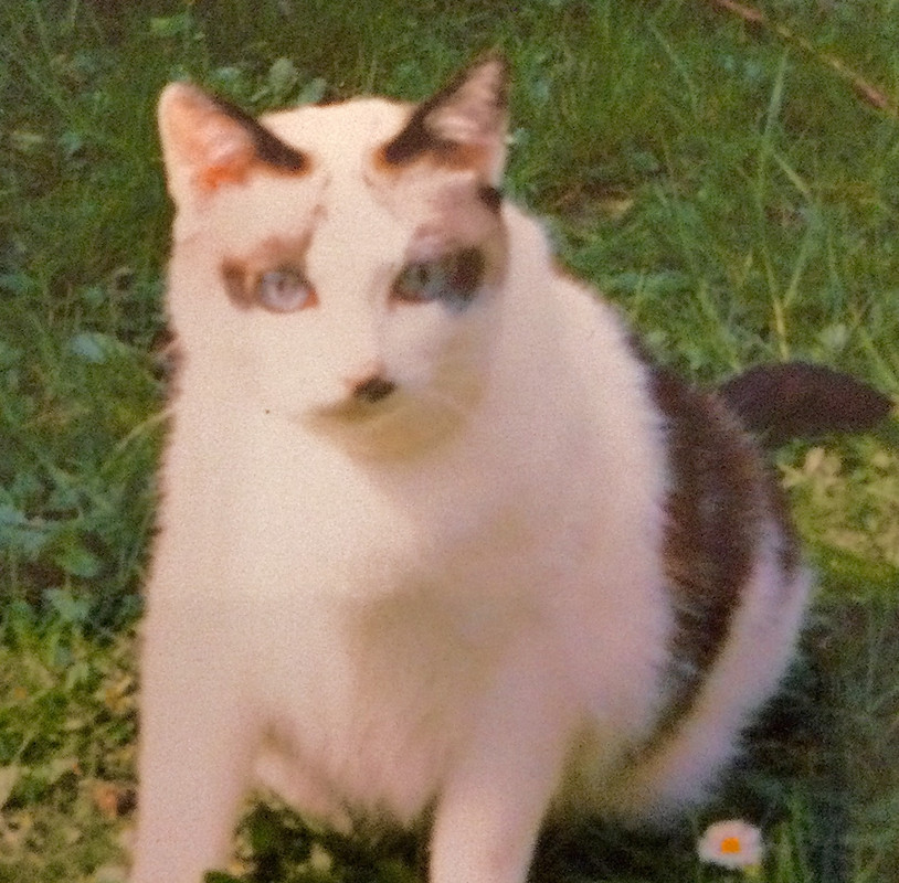 67751B10-ADE0-4FAA-A58B-BB2DD424E704