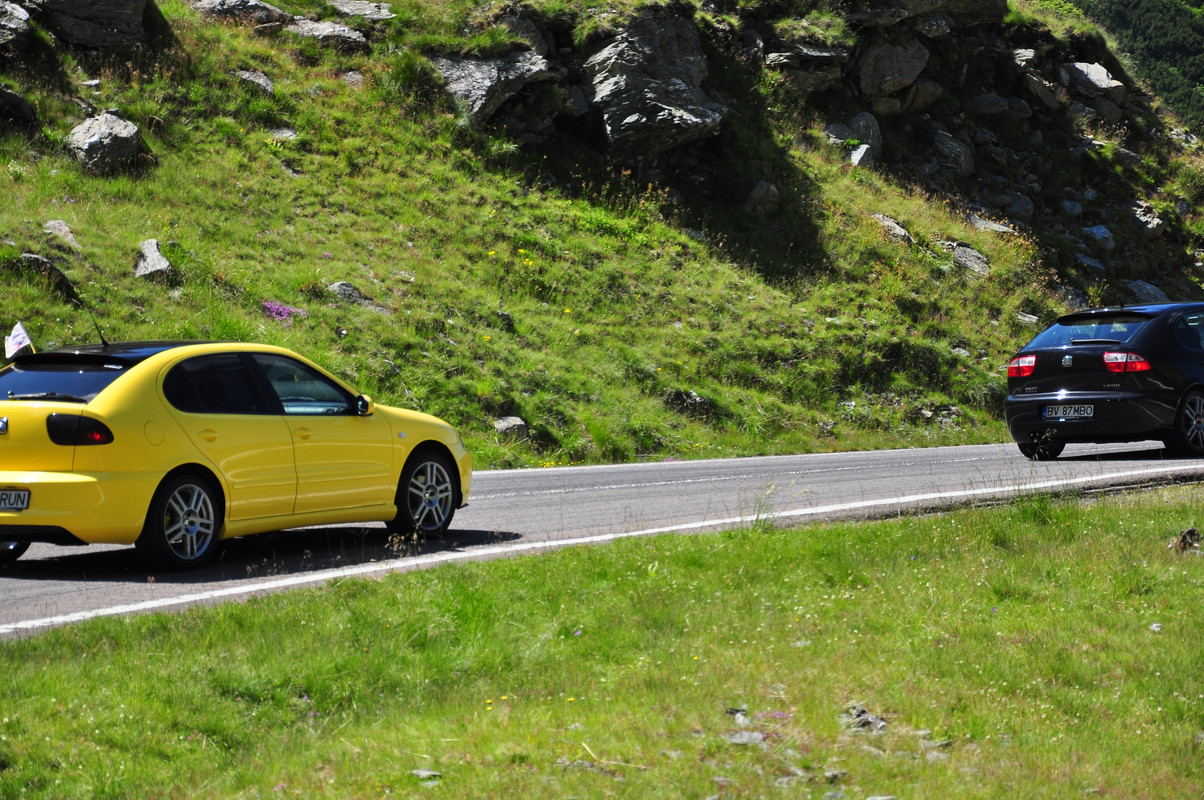 DSC_1961