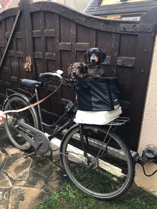 [Image: IMG-20221015-WA0003.jpg]