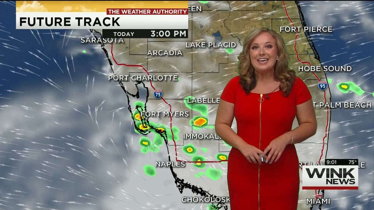 23 May - 14.00.00 - WINK News @ 9 00AM..ts_snapshot_00.05.49_[2020.05.23_17.11.43]