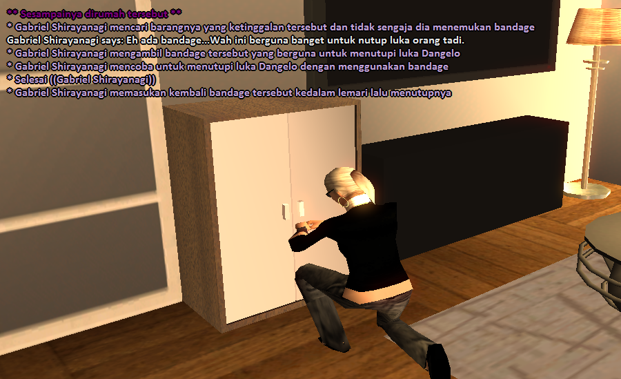 SS6.png