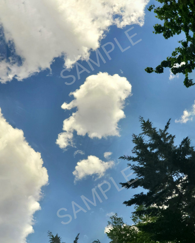 jtbued5b92491 sam — Postimages