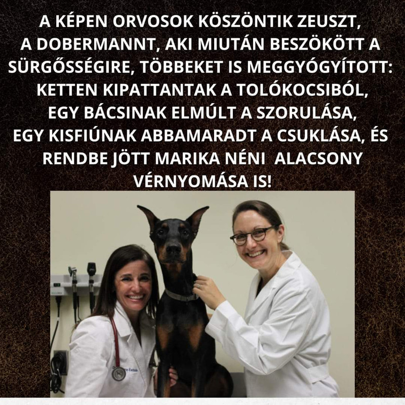 FB-IMG-1683543690292.jpg