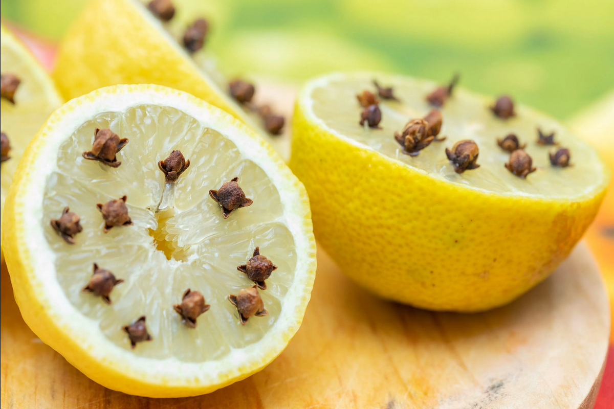 ¿El limón con clavo realmente sirve para ahuyentar plagas?