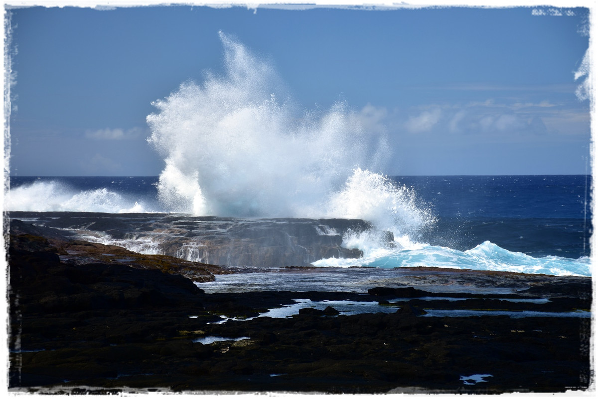 Talofa! Samoa, una perla en el Pacífico - Blogs de Samoa - Día 6. Savai’i: costa sur (6)