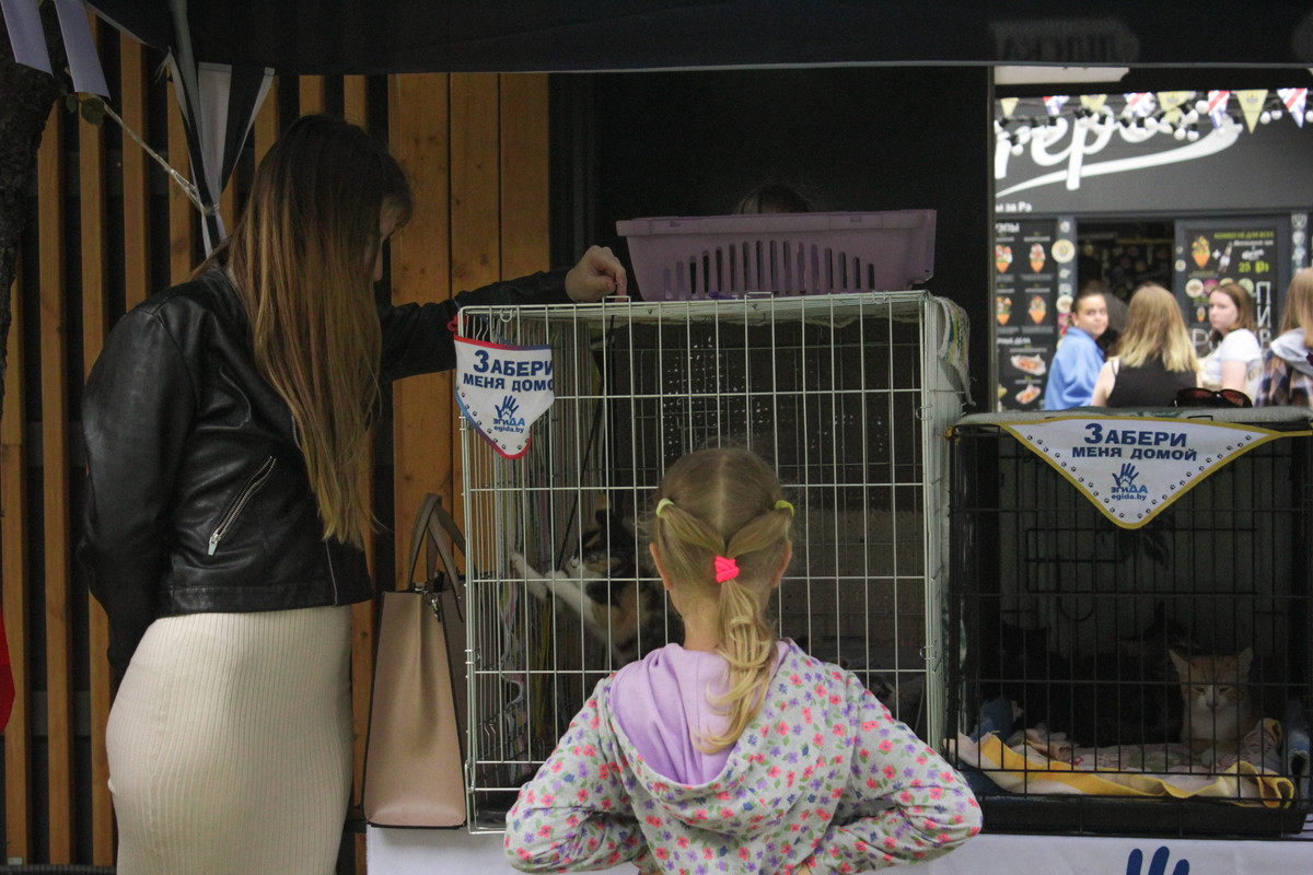 D3D870EC-48C1-40B7-84BE-7370CFF22943