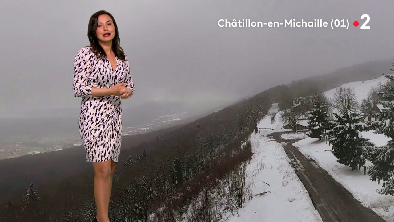 2021-03-17_20_35_Fr2_Meteo.mp4_snapshot_07.03.810