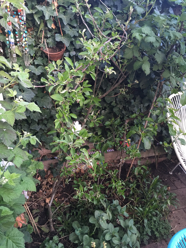 BD60059F-449F-4859-917D-B9A9FBE0FEA4