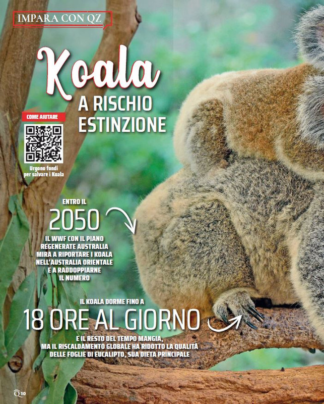 QuattroZampe Feb 2023 (11)