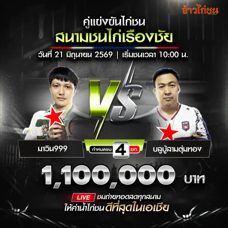 มาวิน999 พบ บลูบู้สามตุ่มทอง โปรแกรมไก่ชน สนามชนไก่เรืองชัย 21 มิถุนายน
