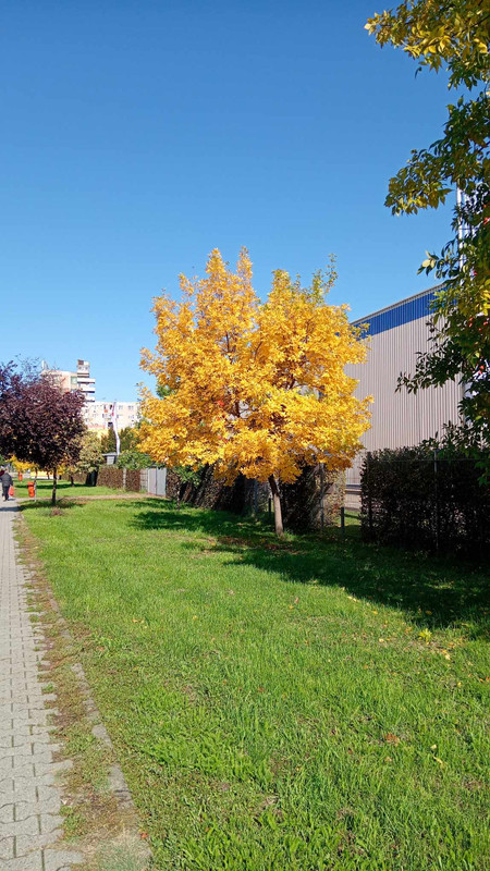 462550385_462584849491344_6912331995526820477_n