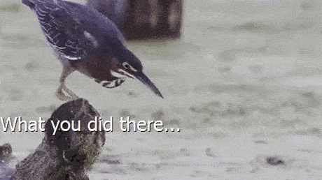 ezgif-2-7e14338e5d.gif