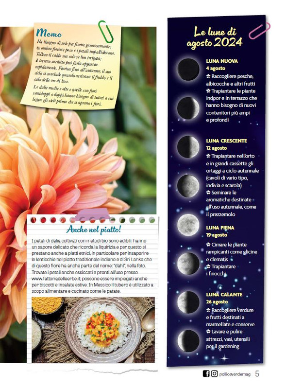 Pol Ver Ago 2024 (2)