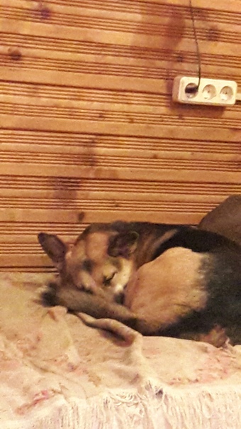 8552680F-6F3D-429F-8DCC-F9E378F3190E