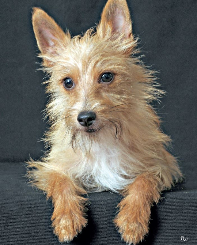 QuattroZampe Feb 2024 (6)