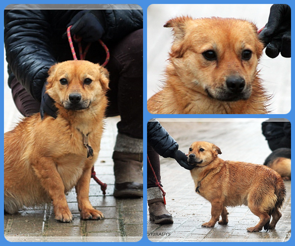 BeFunky-collage (19)