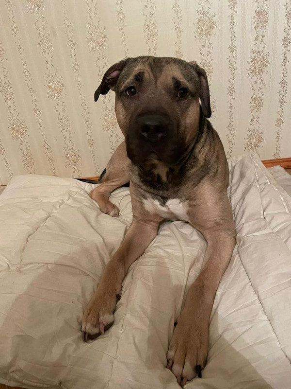 480CC59E-F1A1-48DF-ABBB-200E4F053A73