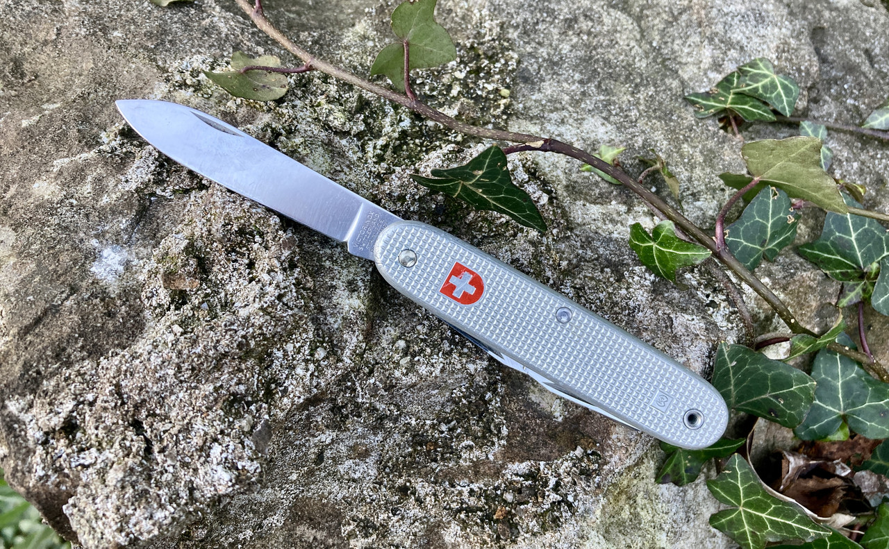 8CC44D31-AFA8-4322-9A2E-D730BAA0DD97