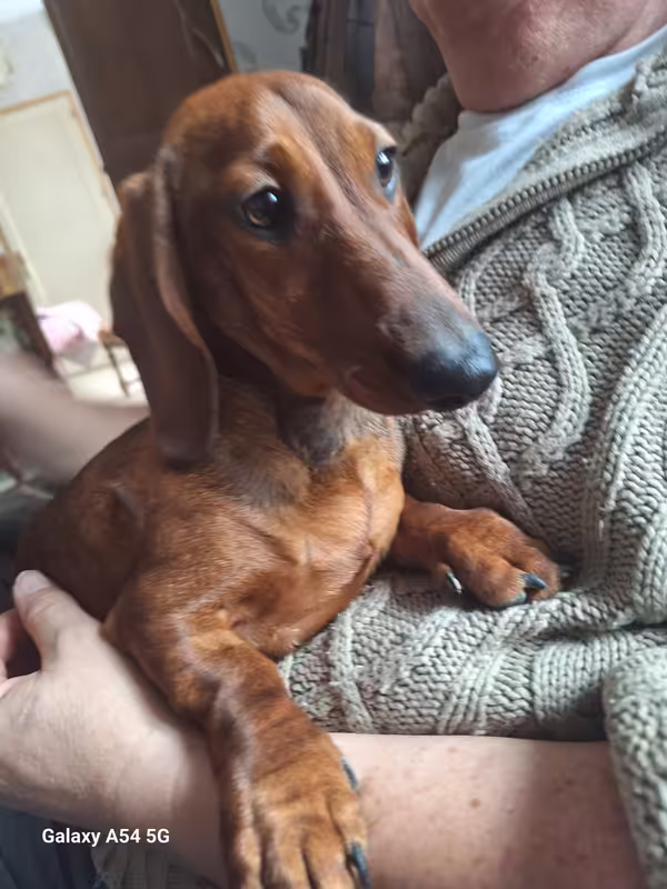 [Image: 20241111-143638-0.avif]