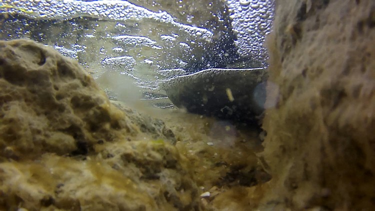 20190413-130215-A-mp4-snapshot-01-27-750