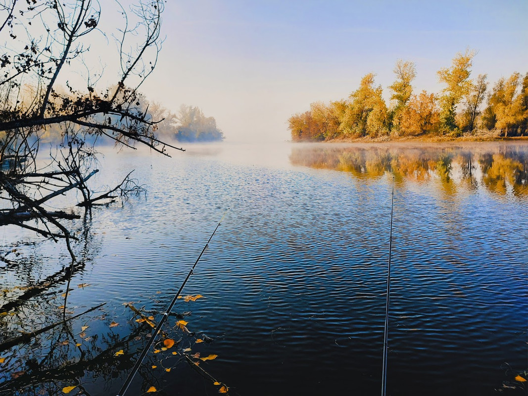 IMG_20241107_081926143_HDR~2 (1)