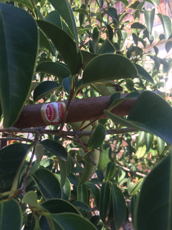 0B372259-AD64-47F8-9597-541D59B20202