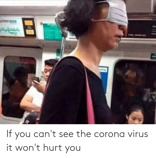 [Image: if-you-cant-see-the-corona-virus-it-wont...824048.png]