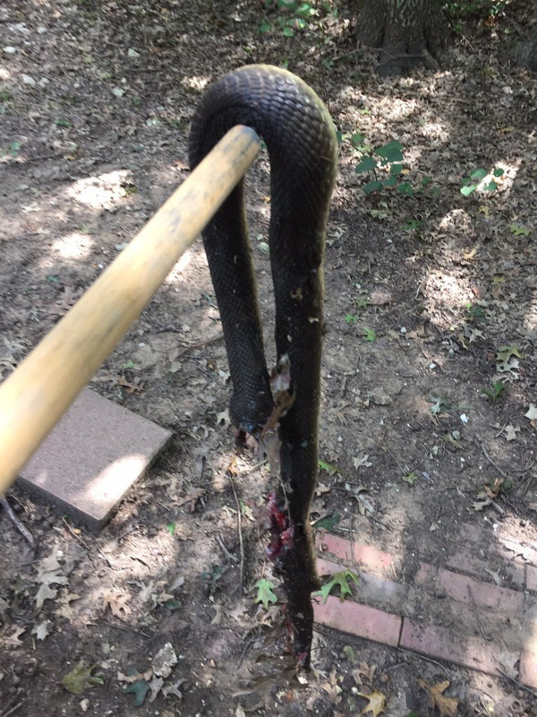 76F884E5-9150-4178-8D35-750F7FCD152C