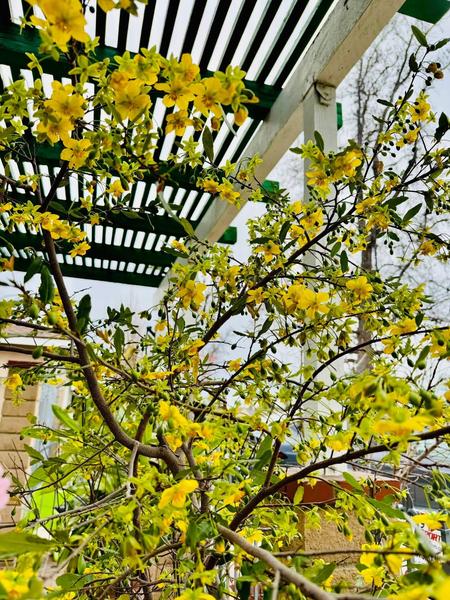 [Image: IMG_3110.jpg]