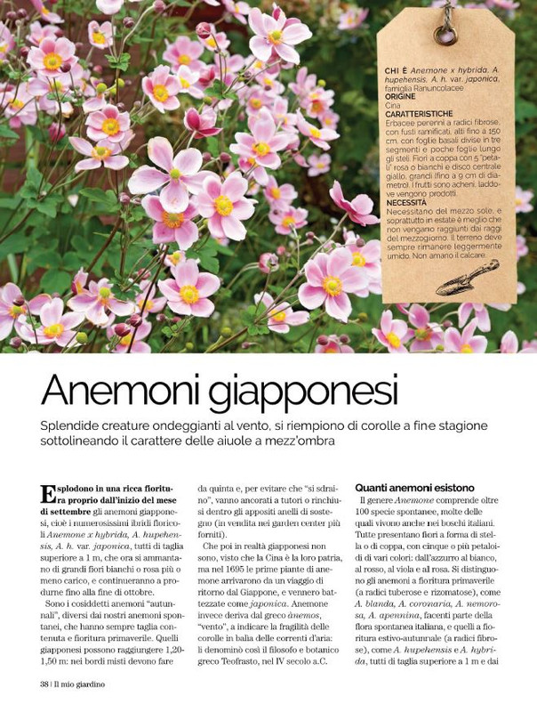 Il Mio Giar Set-Ott 2021 (10)