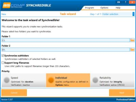 Synchredible Professional 7.101 Multilingual Portable