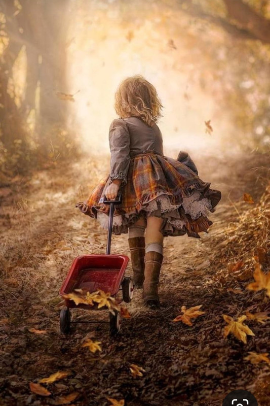 Screenshot_20231117_204903_Pinterest