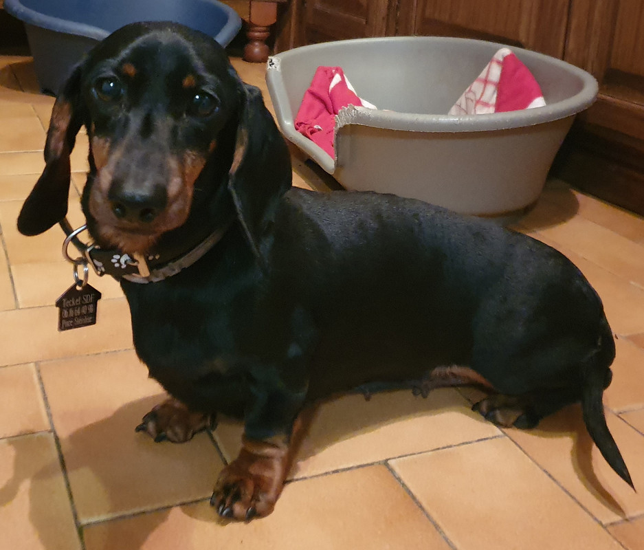 [Image: 20210117-190912-1.jpg]