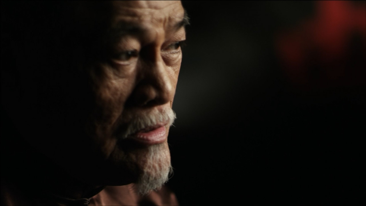 I Am Bruce Lee (2012) + Extras (1080p BluRay x265 HEVC 10bit EAC3 5.1 SAMPA) [QxR]