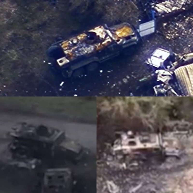 IMG_20241101_171835_622