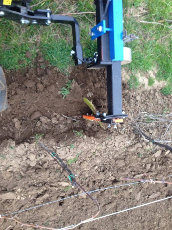 12900067_10204458677145216_1500288623_n