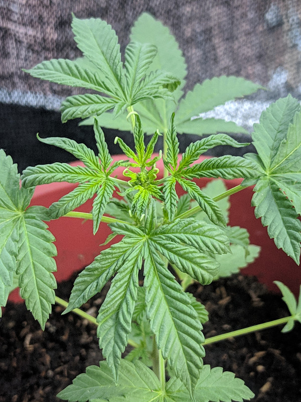 HC_20230205_174741_null