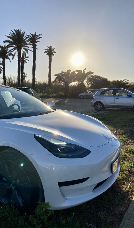 D9A4C958-B1A9-46CD-B7EA-E79288438821