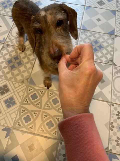 [Image: 686053-A7-6-E8-E-47-D2-A55-E-23715-F2-B0-AD6.jpg]