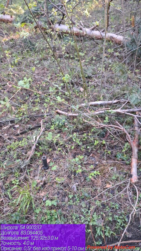 photo 2026 05 10 20 28 06