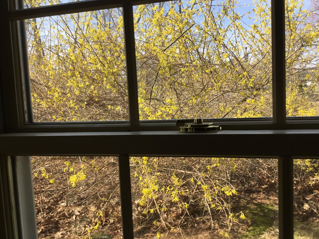 C13C9EF5-21B7-4AAC-948E-F0139D70BBD1