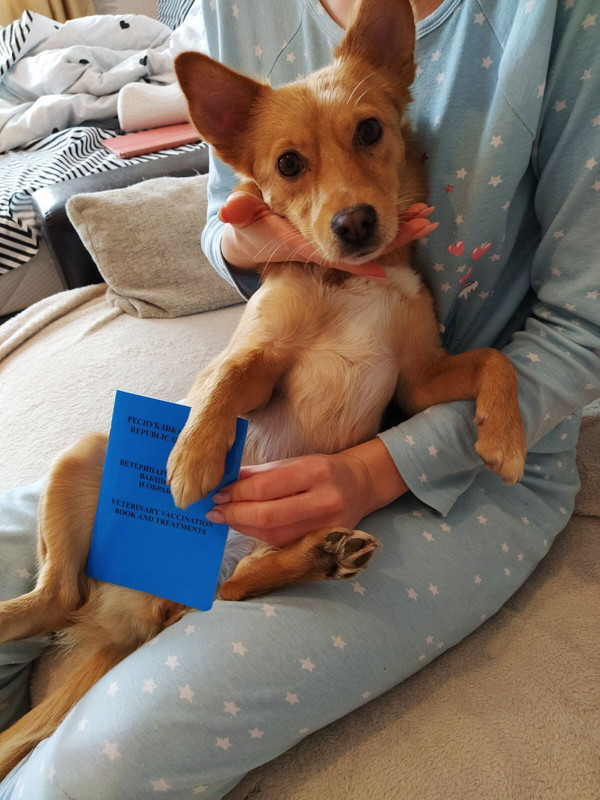 IMG-1e8d4df0a33e46679e17ae51f04bf3a7-V