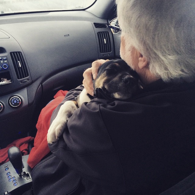 mans-best-friend-10