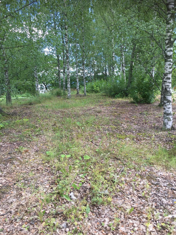 44B3D369-0ED7-4BA2-8132-184F2527FB61