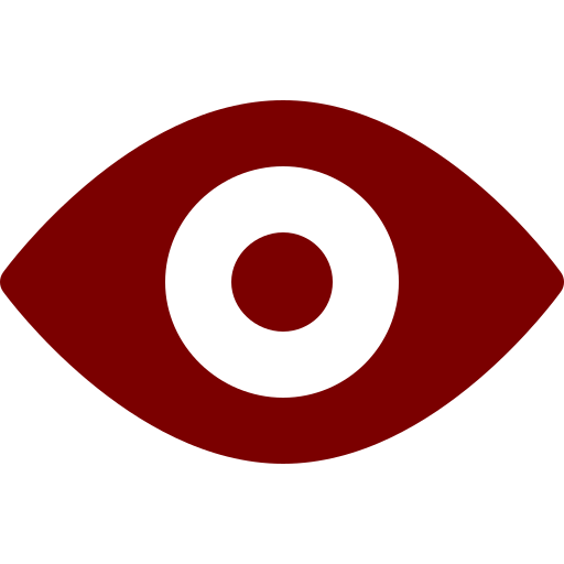 Vision Icon