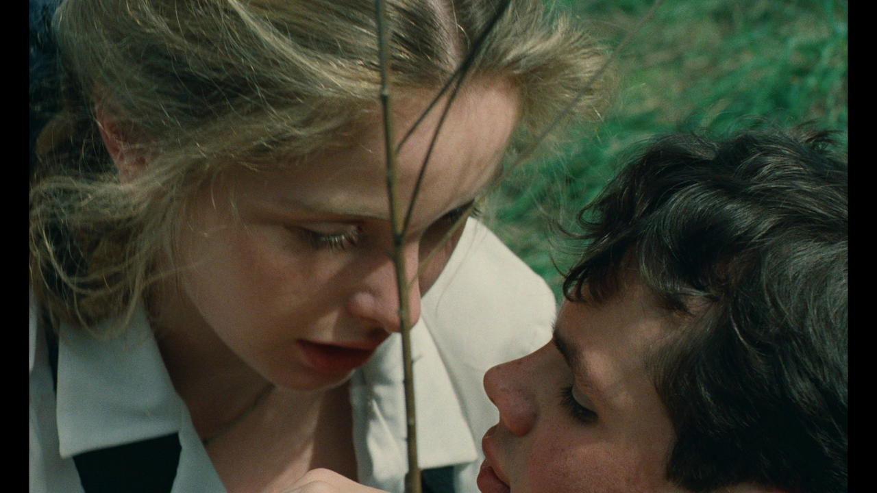 vlcsnap-2024-02-05-16h08m15s134