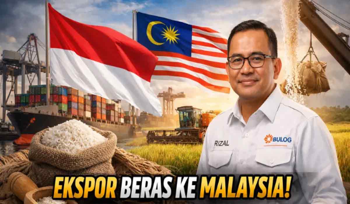 Benarkah Indonesia Kelebihan Beras? Rencana Ekspor 200 Ton Ke Malaysia